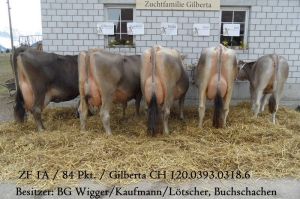 BG Wigger-Kaufmann